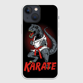 Чехол для iPhone 13 mini с принтом KARATE T REX в Петрозаводске,  |  | animal | dinosaur | fight | fighter | hunter | karate | red | sport | strong | t rex | боец | бои | динозавр | карате | сила | спорт | тиранозавр | хищник