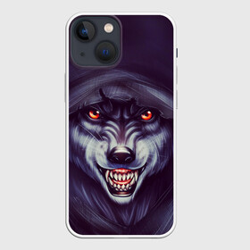 Чехол для iPhone 13 mini с принтом СЕРЫЙ ВОЛК 3D в Петрозаводске,  |  | волк | горящие глаза | злость | зубы | капишон | оскал | свирепый | туман | ярость