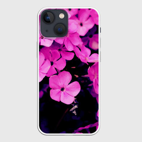 Чехол для iPhone 13 mini с принтом Цветочный Альянс в Петрозаводске,  |  | краски | лес. | отдых | природа | сад | свежесть | спокойствие | цветочки