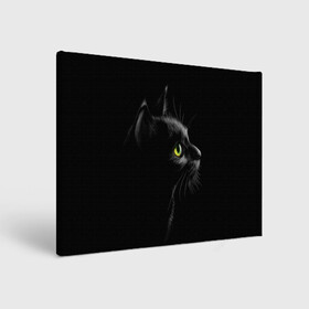 Холст прямоугольный с принтом Черный кот в Петрозаводске, 100% ПВХ |  | взгляд | глаза | киса | киска | кот | котик | котяра | профиль | пушистый | усы
