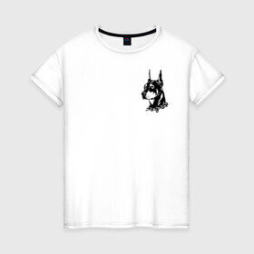 Женская футболка хлопок с принтом Doberman в Петрозаводске, 100% хлопок | прямой крой, круглый вырез горловины, длина до линии бедер, слегка спущенное плечо | dog | streetwear | доберман | ошейник | собака