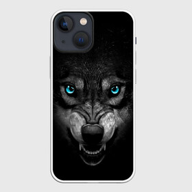 Чехол для iPhone 13 mini с принтом ВОЛК В АБСОЛЮТНОЙ ТЬМЕ в Петрозаводске,  |  | волк | злость | зубы | ночь | опасность | оскал | тьма | хишник | ярость