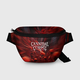 Поясная сумка 3D с принтом Blood Cannibal Corpse | Труп Каннибала (Z) в Петрозаводске, 100% полиэстер | плотная ткань, ремень с регулируемой длиной, внутри несколько карманов для мелочей, основное отделение и карман с обратной стороны сумки застегиваются на молнию | cannibal | cannibal corpse | corpse | death metal | deathgrind | алекс уэбстер | брутальный дэт метал | дэт метал | дэтграйнд | пол мазуркевич | роб барретт | труп каннибала