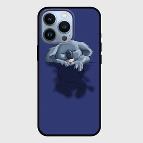 Чехол для iPhone 13 Pro с принтом Спящая коала в Петрозаводске,  |  | Тематика изображения на принте: koala | арт | детеныш | детёныш коалы | животное | зверь | карман на груди | коала | малыш | медведь | медвежонок | милота | милые животные | милые звери | милые зверьки | мимими | мишка | ребенок