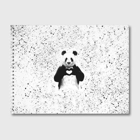Альбом для рисования с принтом Панда Любовь Сердце Брызги в Петрозаводске, 100% бумага
 | матовая бумага, плотность 200 мг. | animals | beast | panda | брызги | глаза | животные | звери | краски | любовь | милые | панда | пятна | растения | сердце | серый | точки | цветы | чб | эвкалипт