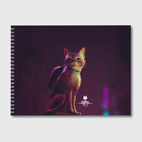 Альбом для рисования с принтом Stray Game 2021 в Петрозаводске, 100% бумага
 | матовая бумага, плотность 200 мг. | 2021 | cat | cyberpunk | game | stray | бродилка | бродить | бродячий | киберпанк | кот | стрей | стрэй