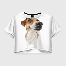 Женская футболка Crop-top 3D с принтом Собака в Петрозаводске, 100% полиэстер | круглая горловина, длина футболки до линии талии, рукава с отворотами | dog | джек | джек рассел | джек рассел терьер | дог | домашние животные | рассел | рассел терьер | собака | собаки | терьер