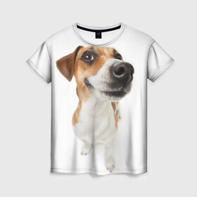 Женская футболка 3D с принтом Собака в Петрозаводске, 100% полиэфир ( синтетическое хлопкоподобное полотно) | прямой крой, круглый вырез горловины, длина до линии бедер | dog | джек | джек рассел | джек рассел терьер | дог | домашние животные | рассел | рассел терьер | собака | собаки | терьер