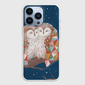 Чехол для iPhone 13 Pro с принтом Ночные обнимашки в Петрозаводске,  |  | Тематика изображения на принте: арт | ветка | дерево | звёздное небо | луна | ночь | одеяло | плед | полу месяц | природа | птица | птицы | рисунок | снег | снежинки | сова | совы