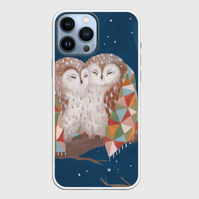 Чехол для iPhone 13 Pro Max с принтом Ночные обнимашки в Петрозаводске,  |  | Тематика изображения на принте: арт | ветка | дерево | звёздное небо | луна | ночь | одеяло | плед | полу месяц | природа | птица | птицы | рисунок | снег | снежинки | сова | совы