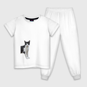 Детская пижама хлопок с принтом смотрящая кошка в Петрозаводске, 100% хлопок |  брюки и футболка прямого кроя, без карманов, на брюках мягкая резинка на поясе и по низу штанин
 | Тематика изображения на принте: голова | домашнее животное | животное | зверь | кот | котёнок | кошка