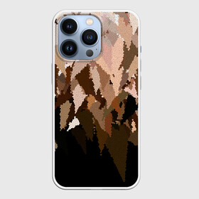 Чехол для iPhone 13 Pro с принтом Бежево коричневая мозаика в Петрозаводске,  |  | Тематика изображения на принте: абстрактный | бежевый | камуфляж | коричневый | мозаика | молодежный | мужской | современный | соты | текстура