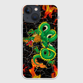 Чехол для iPhone 13 mini с принтом Дракон Огонь Dragon Fire в Петрозаводске,  |  | beast | dragon | fire | горелый | дракон | животные | зверь | змей | когти | огонь | пепел | пламя | узор | чб | японский
