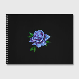 Альбом для рисования с принтом Сапфировая роза в Петрозаводске, 100% бумага
 | матовая бумага, плотность 200 мг. | rose | лазурная | роза | сапфир | сапфировая | сапфировый | цветок | цветочек | цветочки | цветы