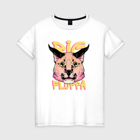 Женская футболка хлопок с принтом Big Cat  Floppa в Петрозаводске, 100% хлопок | прямой крой, круглый вырез горловины, длина до линии бедер, слегка спущенное плечо | flopa | floppa | каракал | кот мем | мем с котом | русский кот | шлёпа