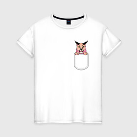 Женская футболка хлопок с принтом Шлёпа в кармане в Петрозаводске, 100% хлопок | прямой крой, круглый вырез горловины, длина до линии бедер, слегка спущенное плечо | flopa | floppa | каракал | кот мем | мем с котом | русский кот | шлёпа
