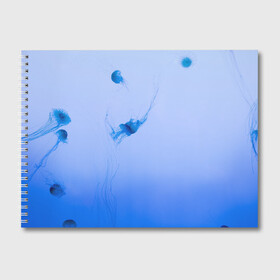 Альбом для рисования с принтом МЕДУЗЫ | ГРАДИЕНТ в Петрозаводске, 100% бумага
 | матовая бумага, плотность 200 мг. | Тематика изображения на принте: gradient | абстракция | амбре | вода | голубая | голубое | градиент | градиент и ничего лишнего | градиенты | медуза | море | на каждый день | океан | синее | синий | синяя | текстура