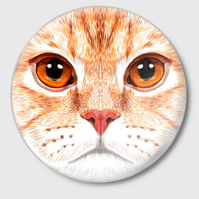 Значок с принтом Мур Мяу в Петрозаводске,  металл | круглая форма, металлическая застежка в виде булавки | cat | kitty | pussycat | киса | кот | кошечка | кошка