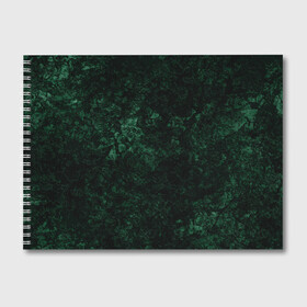 Альбом для рисования с принтом Темно-зеленый мраморный узор  в Петрозаводске, 100% бумага
 | матовая бумага, плотность 200 мг. | Тематика изображения на принте: абстрактный | велюровый | зеленый | каменный | мрамор | современный | текстура камня | темный зеленый