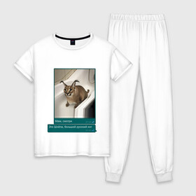 Женская пижама хлопок с принтом Шлёпа в Петрозаводске, 100% хлопок | брюки и футболка прямого кроя, без карманов, на брюках мягкая резинка на поясе и по низу штанин | каракал | кот | мемы | русский кот | рысь | шлёпа