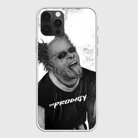 Чехол для iPhone 12 Pro с принтом THE PRODIGY | ПРОДИДЖИ (Z) в Петрозаводске, силикон | область печати: задняя сторона чехла, без боковых панелей | keith charles flint | prodigy | the prodigy | альтернативный дэнс | бигбит | брейкбит | кит флинт | лиам хоулетт | максим реалити | продиги | продиджи | продиди | техно | электроник рок | электропанк