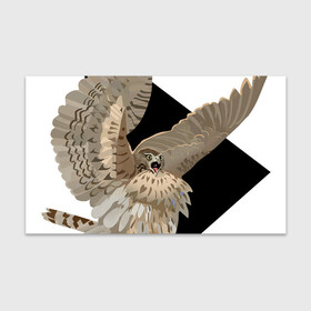 Бумага для упаковки 3D с принтом Орёл в шоке в Петрозаводске, пластик и полированная сталь | круглая форма, металлическое крепление в виде кольца | Тематика изображения на принте: арт | в шоке | дикие животные | дикие звери | дикие птицы | животное | животные | орёл | природа | птица | птица в шоке | птицы | рисунок