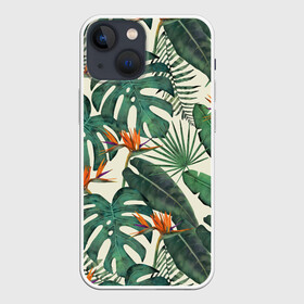 Чехол для iPhone 13 mini с принтом Тропический паттерн в Петрозаводске,  |  | азия | акварель | акварельный | банановые листья | ботанический | винтажный | зеленый | иллюстрация | лес | летний | лето | монстера | оранжевый | отпуск | пальмовые листья | стрелиция | тропики