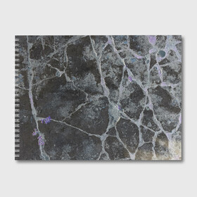 Альбом для рисования с принтом Лунный камень в Петрозаводске, 100% бумага
 | матовая бумага, плотность 200 мг. | art | бетон | булыжник | луна | текстура | трещина
