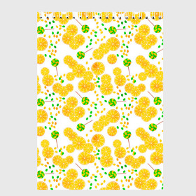 Скетчбук с принтом Лимонная карамель  в Петрозаводске, 100% бумага
 | 48 листов, плотность листов — 100 г/м2, плотность картонной обложки — 250 г/м2. Листы скреплены сверху удобной пружинной спиралью | детский | карамель | конфеты | лимон | лимонный узор | малышам | сладости | чупа чупс