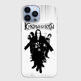 Чехол для iPhone 13 Pro Max с принтом Группа Кукрыниксы в Петрозаводске,  |  | gorshenev | kukryniksy | rock group | алексей горшенёв | альтернативный | вагон | горшенев | горшок | готик | дмитрий оганян | игорь воронов | кукрыниксы | михаил фомин | панк | панкрок | постпанк | рок группа