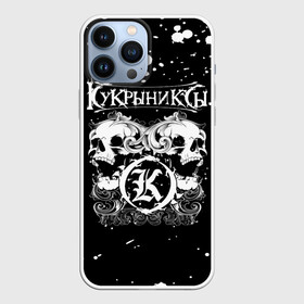 Чехол для iPhone 13 Pro Max с принтом Кукрыниксы черепа в Петрозаводске,  |  | gorshenev | kukryniksy | rock group | алексей горшенёв | альтернативный | вагон | горшенев | горшок | готик | дмитрий оганян | игорь воронов | кукрыниксы | михаил фомин | панк | панкрок | постпанк | рок группа