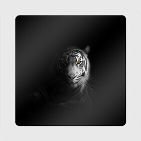 Магнит виниловый Квадрат с принтом БЕЛЫЙ ТИГР в Петрозаводске, полимерный материал с магнитным слоем | размер 9*9 см, закругленные углы | animal | art | beast | cat | hunter | picture | power | strong | tiger | white | белый | благородный | гордый | дикие | животные | звери | кошки | охотник | тигр | хищник | царь