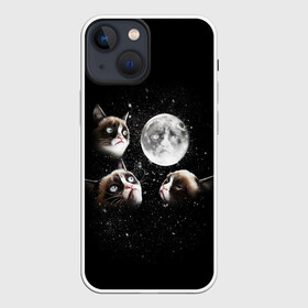 Чехол для iPhone 13 mini с принтом ГРУСТНЫЕ ЛУННЫЕ КОТЫ в Петрозаводске,  |  | cat | cosmo | face | memes | night | sky | stars | голова | звезды | интернет | космос | коты | кошки | лицо | луна | мем | ночь | отражение | прикол | рисунок
