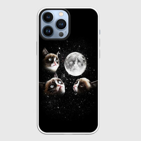 Чехол для iPhone 13 Pro Max с принтом ГРУСТНЫЕ ЛУННЫЕ КОТЫ в Петрозаводске,  |  | cat | cosmo | face | memes | night | sky | stars | голова | звезды | интернет | космос | коты | кошки | лицо | луна | мем | ночь | отражение | прикол | рисунок