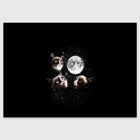 Поздравительная открытка с принтом ГРУСТНЫЕ ЛУННЫЕ КОТЫ в Петрозаводске, 100% бумага | плотность бумаги 280 г/м2, матовая, на обратной стороне линовка и место для марки
 | cat | cosmo | face | memes | night | sky | stars | голова | звезды | интернет | космос | коты | кошки | лицо | луна | мем | ночь | отражение | прикол | рисунок