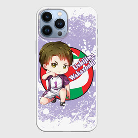 Чехол для iPhone 13 Pro Max с принтом Ushijima Wakatoshi | Haikyu | Волейбол (Z) в Петрозаводске,  |  | haikuu | haikyu | haikyuu | ushijima wakatoshi | волейбол | маленький гигант | сёё | сёё хината | спортивная манга | хайку | хайкю | хината