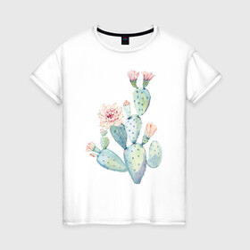 Женская футболка хлопок с принтом Нежный акварельный кактус  в Петрозаводске, 100% хлопок | прямой крой, круглый вырез горловины, длина до линии бедер, слегка спущенное плечо | акварель | кактус | колючий | нежный акварельный кактус | растение | цветок