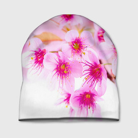 Шапка 3D с принтом Весеннее цветение вишни в Петрозаводске, 100% полиэстер | универсальный размер, печать по всей поверхности изделия | Тематика изображения на принте: бутоны | весна | девушкам | красивые | розовые | сакура | цветение | цветы | яблоня