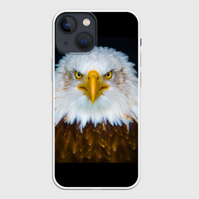 Чехол для iPhone 13 mini с принтом Белоголовый орлан в Петрозаводске,  |  | грозный | красивый | опасный | орлан | пернатый | птица | хищный