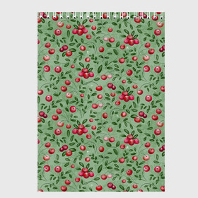Скетчбук с принтом Клюква на болоте в Петрозаводске, 100% бумага
 | 48 листов, плотность листов — 100 г/м2, плотность картонной обложки — 250 г/м2. Листы скреплены сверху удобной пружинной спиралью | бесшовный паттерн | болото | ботанический | в подарок | для детей | клюква | красный с зеленым | лес | осень | природа | цветной | ягоды | яркий