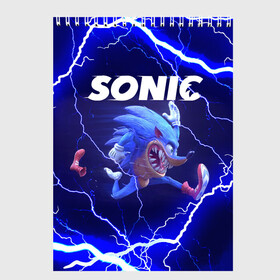 Скетчбук с принтом SONIC | СОНИК (Z) в Петрозаводске, 100% бумага
 | 48 листов, плотность листов — 100 г/м2, плотность картонной обложки — 250 г/м2. Листы скреплены сверху удобной пружинной спиралью | blaze the cat | hedgehog | sega | silver | sonic | speed sonic | быстрый ёж | ёж соник | метал соник | сега | сильвер | синий ёж | соник