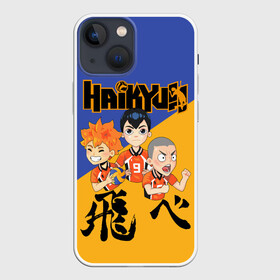 Чехол для iPhone 13 mini с принтом Хайку | Haikyu | Волейбол (Z) в Петрозаводске,  |  | haikuu | haikyu | haikyuu | волейбол | спортивная манга | хайку | хайкю