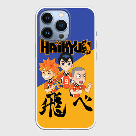 Чехол для iPhone 13 Pro с принтом Хайку | Haikyu | Волейбол (Z) в Петрозаводске,  |  | haikuu | haikyu | haikyuu | волейбол | спортивная манга | хайку | хайкю