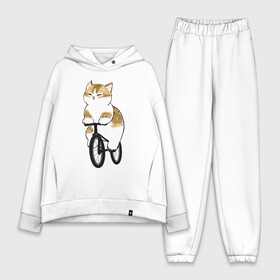 Женский костюм хлопок Oversize с принтом Котик на велосипеде в Петрозаводске,  |  | арт | велосипед | ветер | кот | котёнок | кошка | милая кошка | милый кот | милый котёнок | отдых | отдыхает | пончик | рисунок