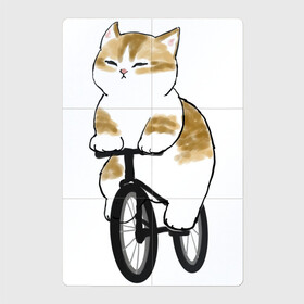 Магнитный плакат 2Х3 с принтом Котик на велосипеде в Петрозаводске, Полимерный материал с магнитным слоем | 6 деталей размером 9*9 см | Тематика изображения на принте: арт | велосипед | ветер | кот | котёнок | кошка | милая кошка | милый кот | милый котёнок | отдых | отдыхает | пончик | рисунок
