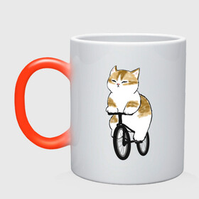 Кружка хамелеон с принтом Котик на велосипеде в Петрозаводске, керамика | меняет цвет при нагревании, емкость 330 мл | арт | велосипед | ветер | кот | котёнок | кошка | милая кошка | милый кот | милый котёнок | отдых | отдыхает | пончик | рисунок