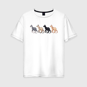Женская футболка хлопок Oversize с принтом Сфинксы в Петрозаводске, 100% хлопок | свободный крой, круглый ворот, спущенный рукав, длина до линии бедер
 | группа котов | домашние любимцы | животные | кот | коты | лысый кот | сфинкс