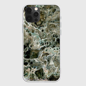 Чехол для iPhone 12 Pro с принтом Инопланетный камуфляж в Петрозаводске, силикон | область печати: задняя сторона чехла, без боковых панелей | абстрактный | космос | краска | натуральный | паутина | пена | психоделический | психоделия | пятна | пятна краски | разводы | разводы краски | разливы краски | серый | фантазийный | фантастика