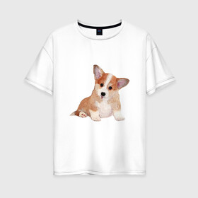 Женская футболка хлопок Oversize с принтом Fluffy Corgi в Петрозаводске, 100% хлопок | свободный крой, круглый ворот, спущенный рукав, длина до линии бедер
 | corgi | dog | fluffy | puppy | корги | милый | пушистый | собака | щенок