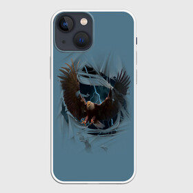 Чехол для iPhone 13 mini с принтом ОРЕЛ СКВОЗЬ ТКАНЬ в Петрозаводске,  |  | animal | bird | eagle | hunter | power | гордый | гроза | животные | звери | молния | мощь | орел | природа | птица | сила | хищник